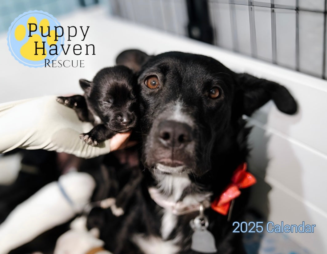 Puppy Haven 2025 Wall Calendar