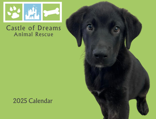 Castle of Dreams Animal Rescue 2025 Wall Calendar