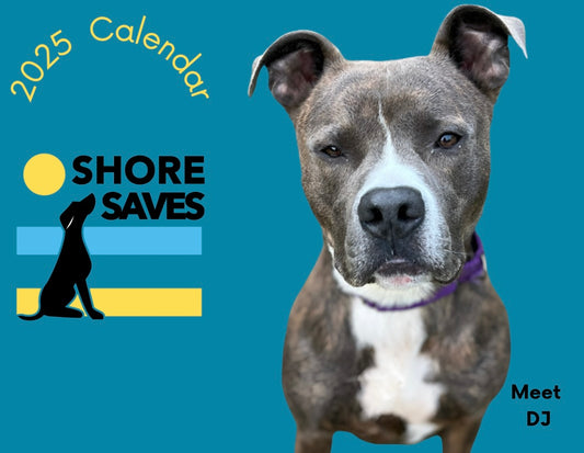 Shore Saves 2025 Wall Calendar