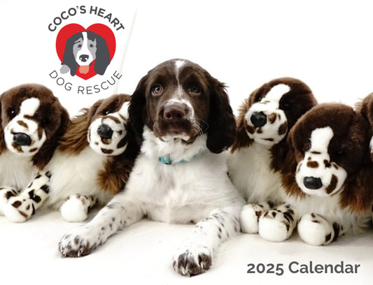 Coco’s Heart Dog Rescue 2025 Wall Calendar