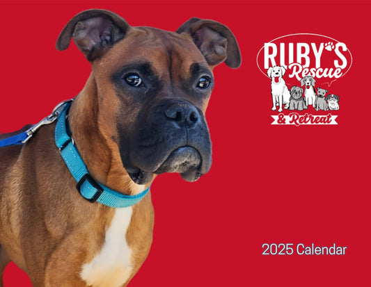 Ruby’s Rescue 2025 Wall Calendar